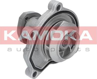 Kamoka T0252 - Water Pump onlydrive.pro