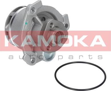 Kamoka T0234 - Water Pump onlydrive.pro