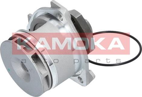 Kamoka T0234 - Water Pump onlydrive.pro