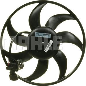 MAHLE CFF 162 000P - Fan, radiator onlydrive.pro