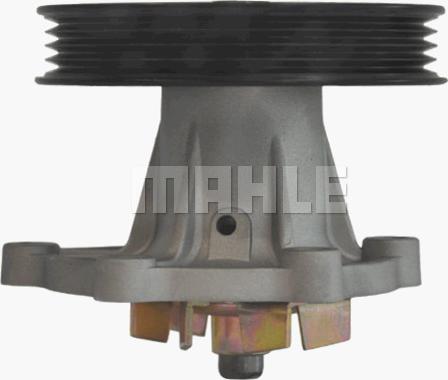 MAHLE CP 97 000P - Water Pump onlydrive.pro