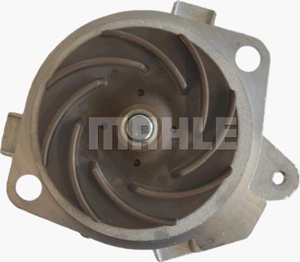 MAHLE CP 42 000P - Water Pump onlydrive.pro
