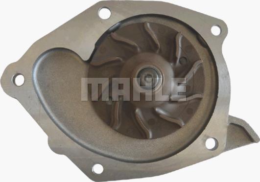 MAHLE CP 53 000P - Water Pump onlydrive.pro