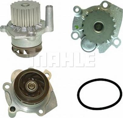 MAHLE CP 6 000P - Water Pump onlydrive.pro
