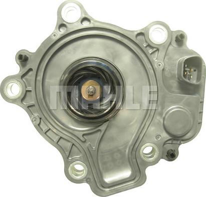 MAHLE CP 602 000P - Water Pump onlydrive.pro