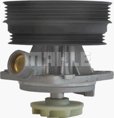 MAHLE CP 146 000P - Water Pump onlydrive.pro