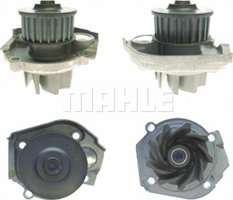 MAHLE CP 182 000P - Water Pump onlydrive.pro
