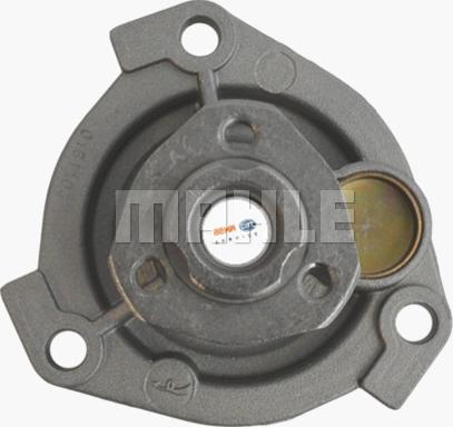 MAHLE CP 138 000P - Water Pump onlydrive.pro