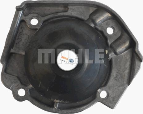 MAHLE CP 35 000P - Water Pump onlydrive.pro