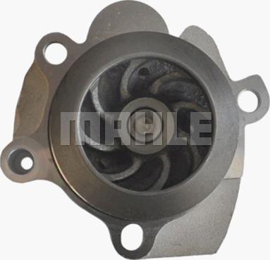 MAHLE CP 25 000P - Water Pump onlydrive.pro