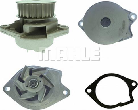 MAHLE CP 7 000P - Water Pump onlydrive.pro