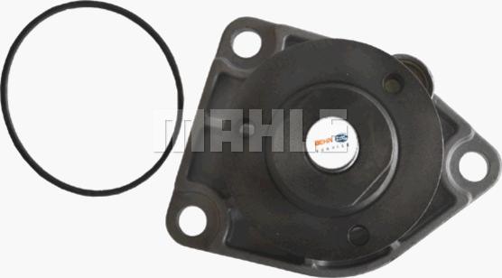 MAHLE CP 71 000P - Water Pump onlydrive.pro