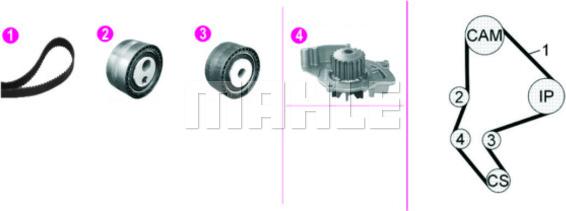 MAHLE CPK 135 000P - Water Pump & Timing Belt Set onlydrive.pro