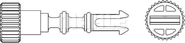 MAHLE CRX 52 000P - Bolt, radiator cap onlydrive.pro