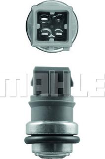 MAHLE TSE 31 - Sensor, coolant temperature onlydrive.pro