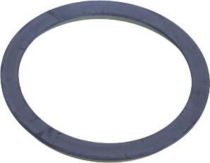 Maxgear 27-0713 - Sensor Ring, ABS onlydrive.pro