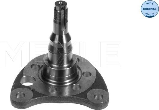 Meyle 100 501 0011 - Steering Knuckle, wheel suspension onlydrive.pro