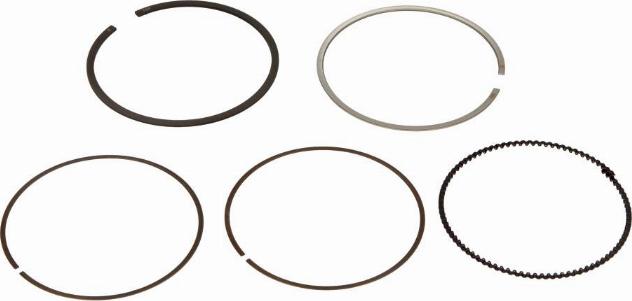 NE 8950520000 - Piston Ring Kit onlydrive.pro