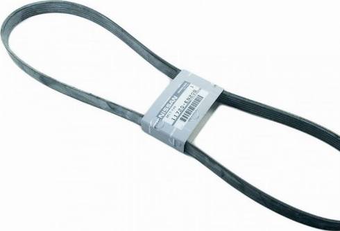 NISSAN 11720-EN20A - V-Ribbed Belt onlydrive.pro