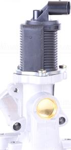 Nissens 98175 - EGR Valve onlydrive.pro