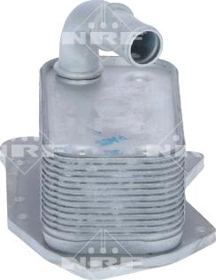 NRF 31341 - Oil Cooler, engine oil onlydrive.pro