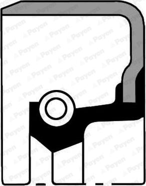 Payen NB818 - Shaft Seal, crankshaft onlydrive.pro