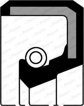 Payen NA869 - Shaft Seal, crankshaft onlydrive.pro