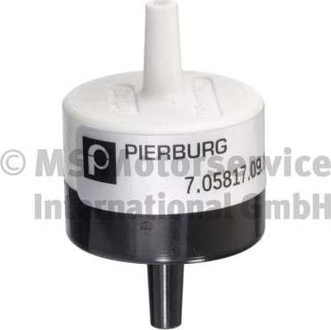 Pierburg 7.05817.09.0 - Valve, secondary ventilation onlydrive.pro