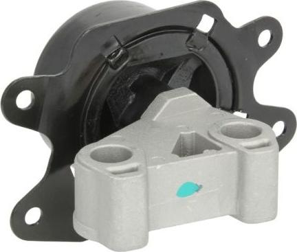 REINHOCH RH11-5066 - Holder, engine mounting onlydrive.pro