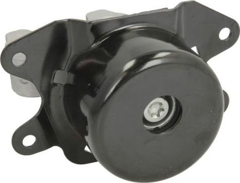 REINHOCH RH11-5066 - Holder, engine mounting onlydrive.pro