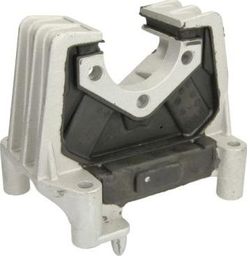 REINHOCH RH11-5003 - Holder, engine mounting onlydrive.pro