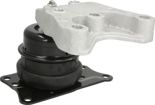 REINHOCH RH11-0083 - Paigutus,Mootor onlydrive.pro