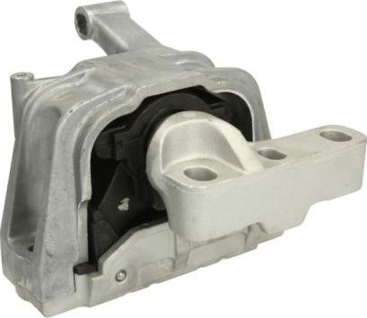 REINHOCH RH11-0110 - Holder, engine mounting onlydrive.pro