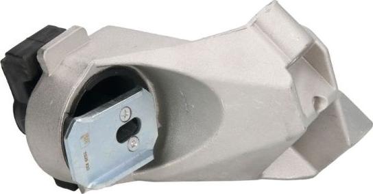 REINHOCH RH11-2060 - Holder, engine mounting onlydrive.pro