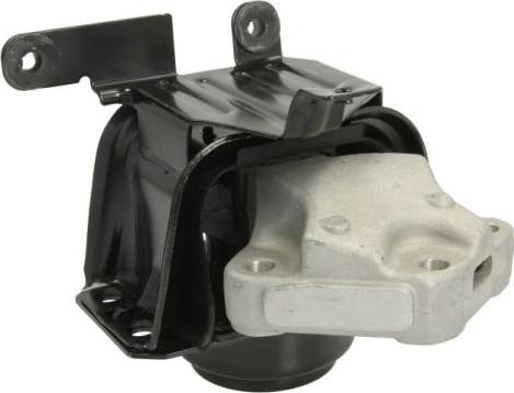 REINHOCH RH11-2102 - Holder, engine mounting onlydrive.pro