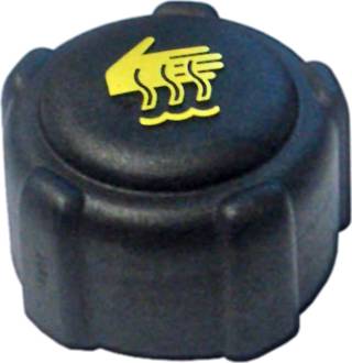 RENAULT 8200048024 - Sealing Cap, coolant tank onlydrive.pro