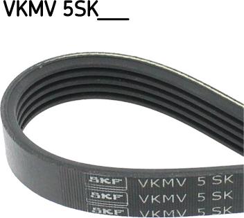 SKF VKMV 5SK595 - V-Ribbed Belt onlydrive.pro