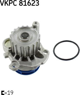 SKF VKPC 81623 - Water Pump onlydrive.pro