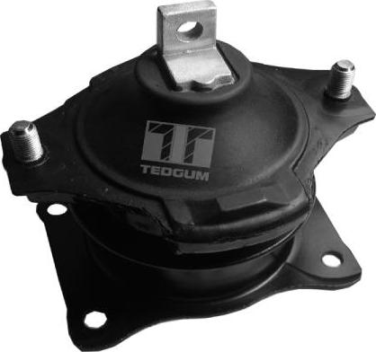 Tedgum 00260933 - Holder, engine mounting onlydrive.pro