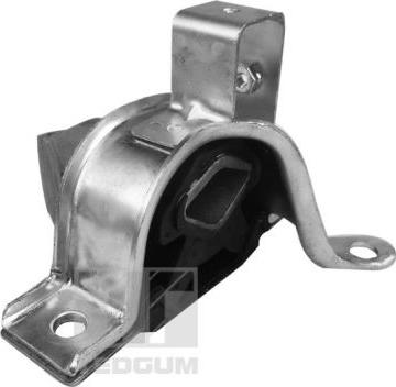 Tedgum 00219215 - Holder, engine mounting onlydrive.pro