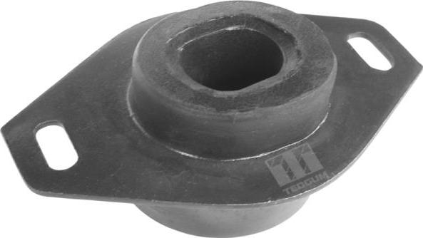 Tedgum 00214223 - Holder, engine mounting onlydrive.pro