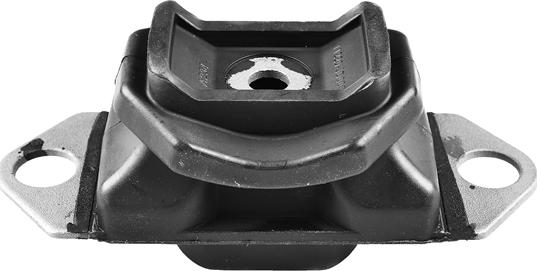 Tedgum TED81181 - Holder, engine mounting onlydrive.pro
