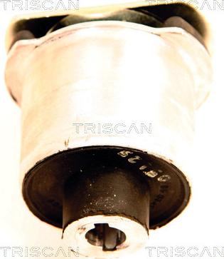 Triscan 8500 65834 - Mounting, axle beam onlydrive.pro