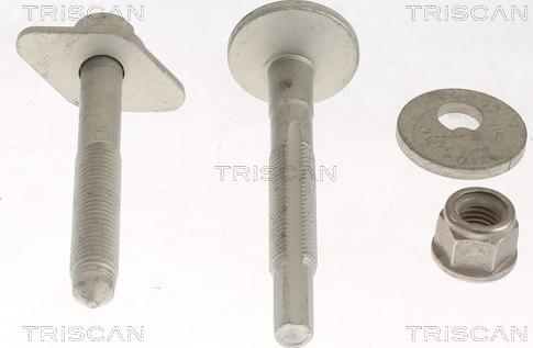 Triscan 8500 29419 - Repair Kit, wheel suspension onlydrive.pro