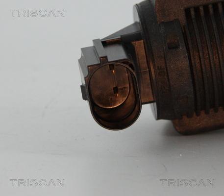 Triscan 8813 15032 - EGR Valve onlydrive.pro