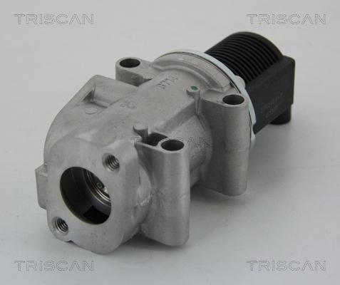 Triscan 8813 15032 - EGR Valve onlydrive.pro