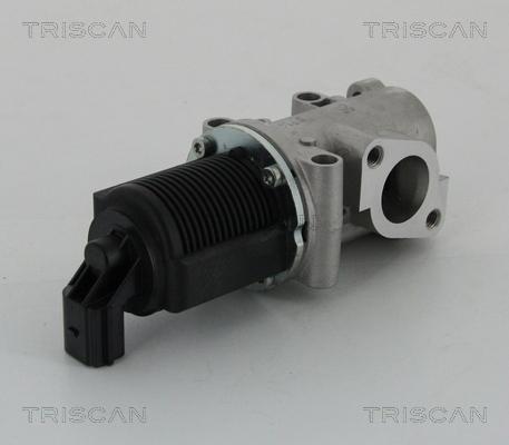 Triscan 8813 15032 - EGR Valve onlydrive.pro