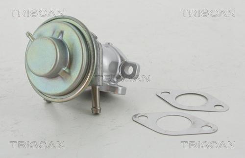 Triscan 8813 15029 - Клапан возврата ОГ onlydrive.pro