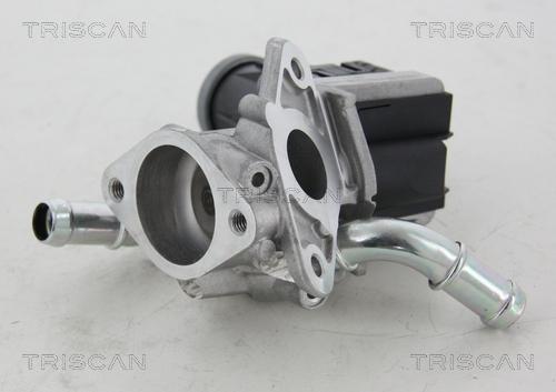 Triscan 8813 16036 - EGR Valve onlydrive.pro