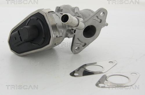 Triscan 8813 16100 - EGR Valve onlydrive.pro